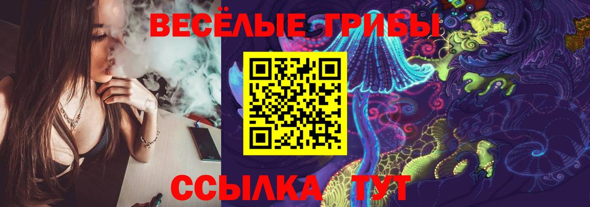 Псилоцибиновые грибы прущие грибы  Псилоцибиновые грибы ЛСД  Вход с VPN  Камень-на-Оби 